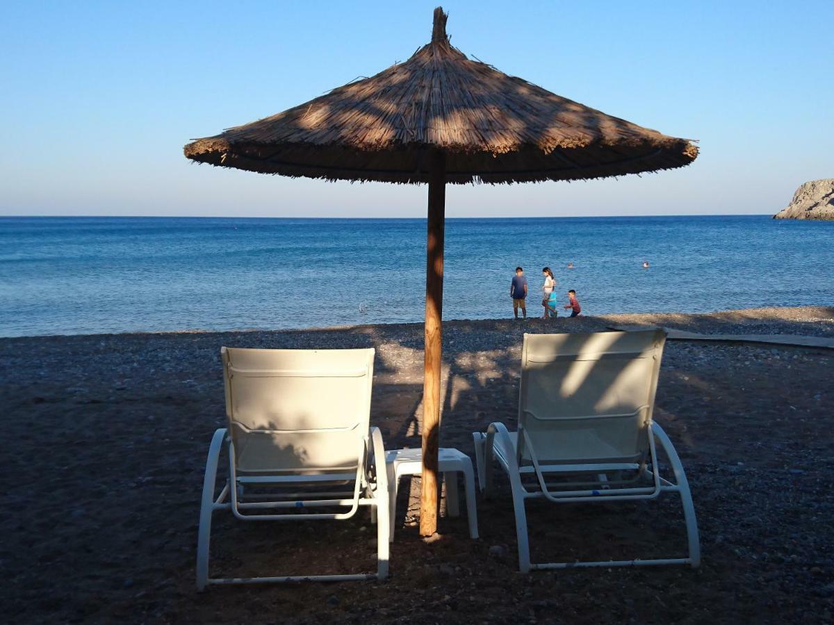 Nikos House Διαμέρισμα Káto Zákros Εξωτερικό φωτογραφία